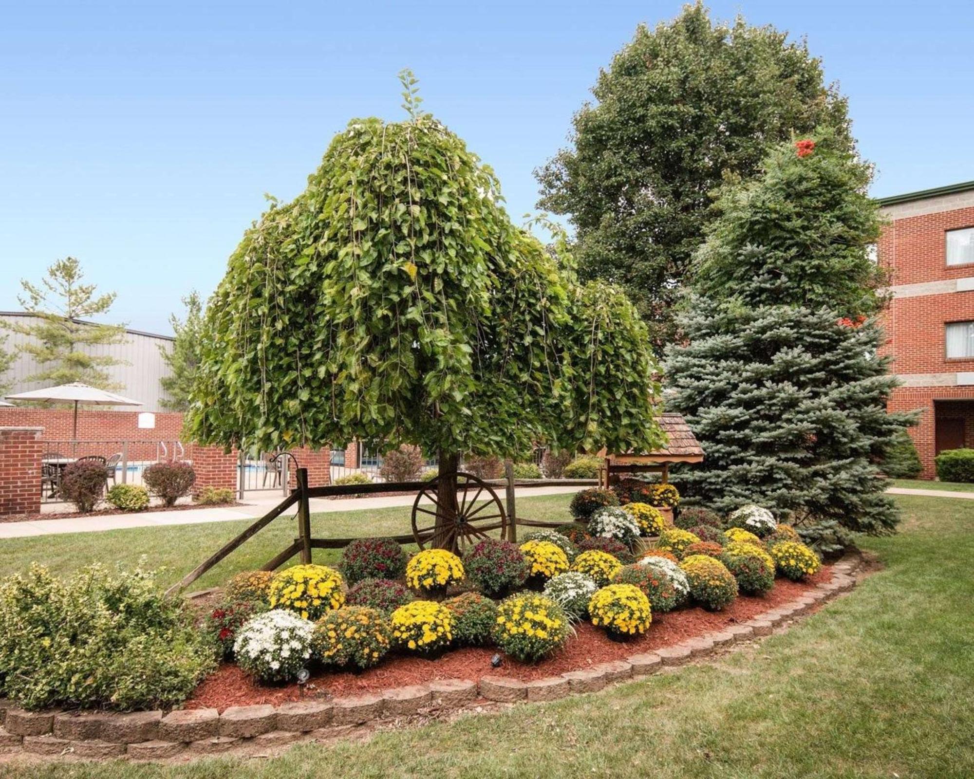 Comfort Suites Parkersburg South Mineral Wells Екстер'єр фото